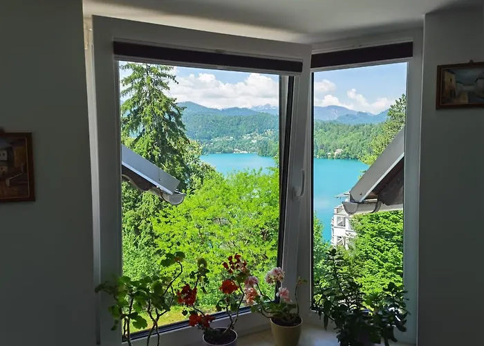 Apartamento Balcon *